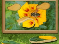 Find & Restore: Hidden Puzzle