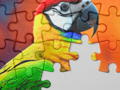 Jigsaw M