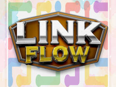 Link Flow