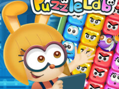 Puzzle Lab